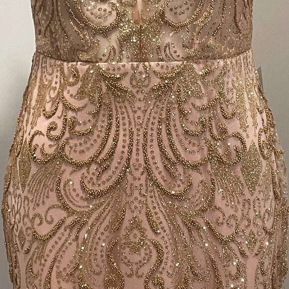 Glamorous Blush Maxi Dress with Feather Accents - Picture 4 of 10